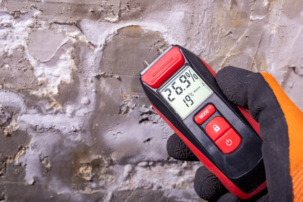 Reliable Blountville, TN Mold Remediation Solutions