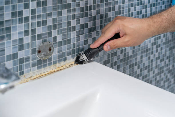 Best Residential Mold Remediation in Blountville, TN