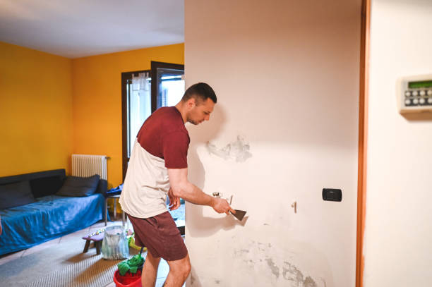 Best Mold Remediation for Schools in Blountville, TN